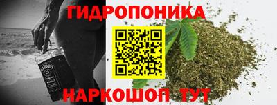 гашик Краснокаменск