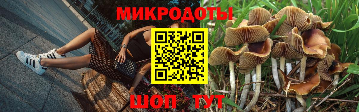 Коркино  Галлюциногенные грибы ЛСД  Вход с VPN 